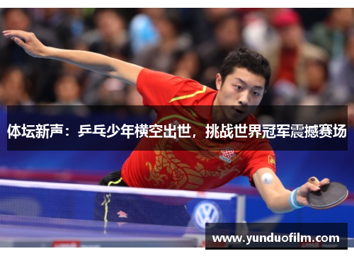 体坛新声：乒乓少年横空出世，挑战世界冠军震撼赛场